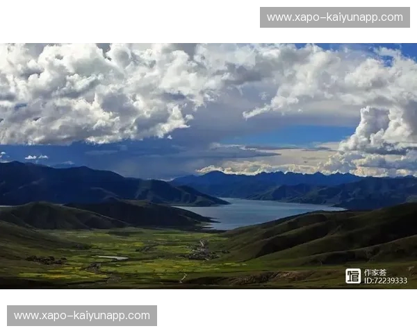 绿荫场上的西南之魂：当埃克塞特遇见约维尔，谁才是真正的西域之王？