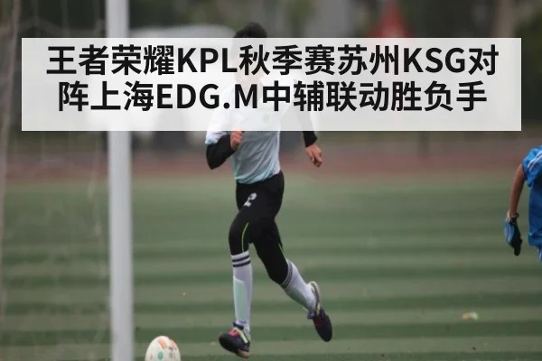 王者荣耀KPL秋季赛苏州KSG对阵上海EDG.M中辅联动胜负手（kering）