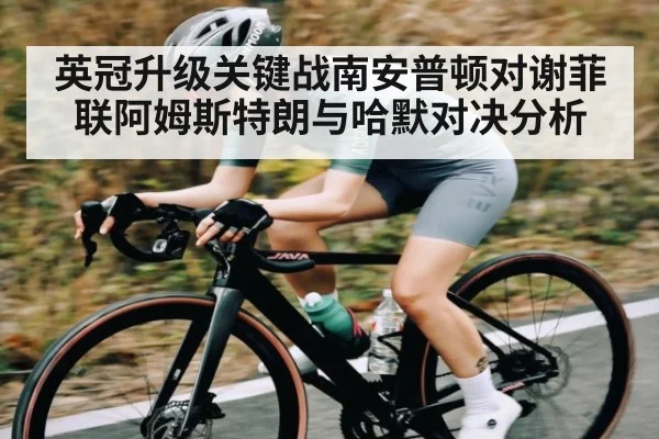 英冠升级关键战南安普顿对谢菲联阿姆斯特朗与哈默对决分析（kering）